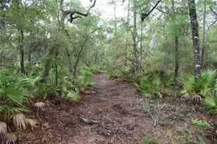 8650 NW 136 Ave, Chiefland, FL 32626 - Photo 93