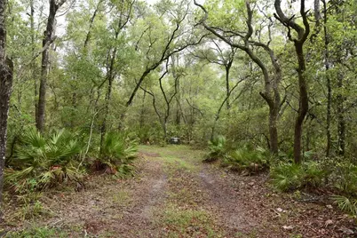 8650 NW 136th Avenue, Chiefland, FL 32626 - Photo 61