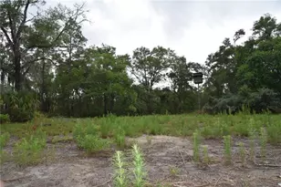 8650 NW 136 Ave, Chiefland, FL 32626 - Photo 51