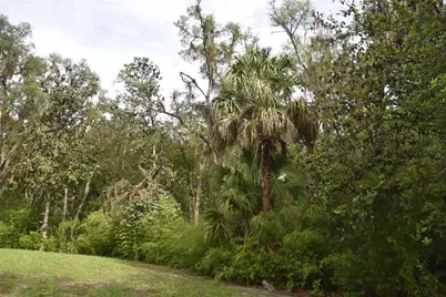 8650 NW 136th Avenue, Chiefland, FL 32626 - Photo 85