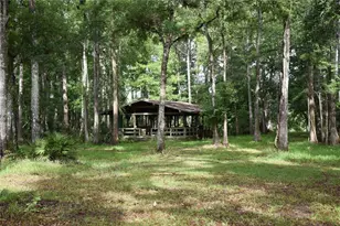 8650 NW 136 Ave, Chiefland, FL 32626 - Photo 5