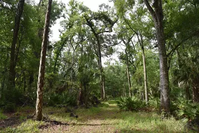 8650 NW 136th Avenue, Chiefland, FL 32626 - Photo 47