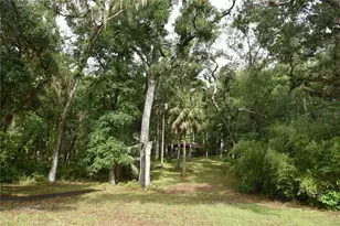 8650 NW 136 Ave, Chiefland, FL 32626 - Photo 87