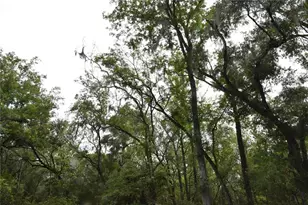8650 NW 136 Ave, Chiefland, FL 32626 - Photo 83