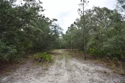8650 NW 136th Avenue, Chiefland, FL 32626 - Photo 95
