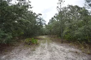 8650 NW 136 Ave, Chiefland, FL 32626 - Photo 95