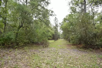 8650 NW 136th Avenue, Chiefland, FL 32626 - Photo 73