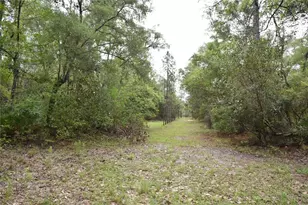 8650 NW 136 Ave, Chiefland, FL 32626 - Photo 73
