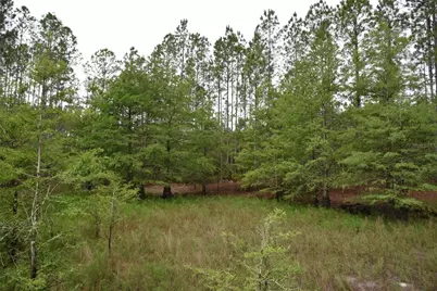 8650 NW 136th Avenue, Chiefland, FL 32626 - Photo 81