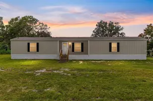 14642 NE 111 Terrace, Fort Mc Coy, FL 32134 - Photo 1