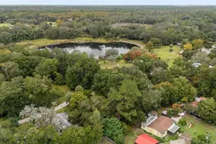 14642 NE 111 Terrace, Fort Mc Coy, FL 32134 - Photo 47