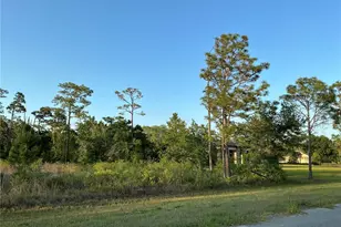 Lot 44 Reynolds Pkwy, Orlando, FL 32833 - Photo 3