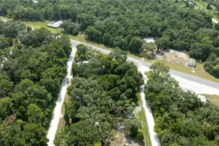 49 NE 472nd Ave, Old Town, FL 32680 - Photo 17
