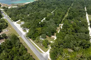 49 NE 472nd Ave, Old Town, FL 32680 - Photo 13