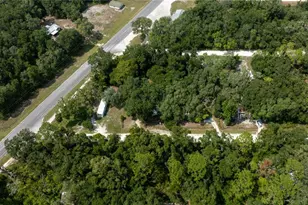 49 NE 472nd Ave, Old Town, FL 32680 - Photo 19