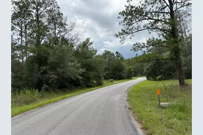 6461 N Elnora Way, Citrus Springs, FL 34433 - Photo 3