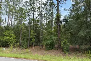 6461 N Elnora Way, Citrus Springs, FL 34433 - Photo 1