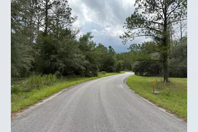 6461 N Elnora Way, Citrus Springs, FL 34433 - Photo 5