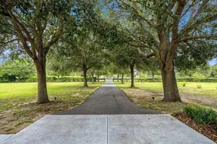 6290 SE 178 Ct, Morriston, FL 32668 - Photo 51