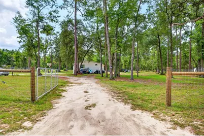 10890 NE 102nd Place, Archer, FL 32618 - Photo 3