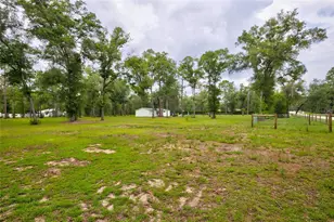 10890 NE 102nd Pl, Archer, FL 32618 - Photo 9
