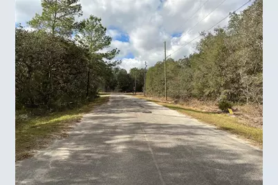 Lot 8 Fisher Trace, Ocklawaha, FL 32179 - Photo 5