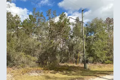 Lot 8 Fisher Trace, Ocklawaha, FL 32179 - Photo 3