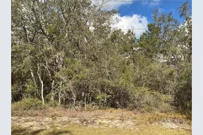 Lot 8 Fisher Trace, Ocklawaha, FL 32179 - Photo 1