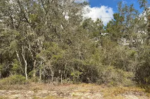 Lot 8 Fisher Trace, Ocklawaha, FL 32179 - Photo 1