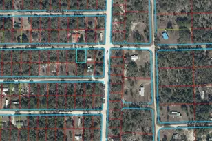 Tbd NE 65th Ln, Bronson, FL 32621 - Photo 1
