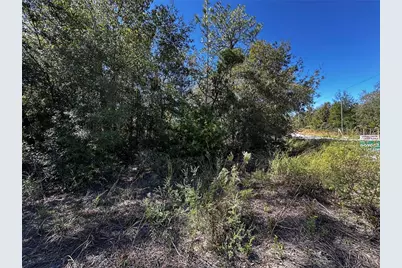 Tbd NE 65th Lane, Bronson, FL 32621 - Photo 7