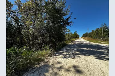 Tbd NE 65th Lane, Bronson, FL 32621 - Photo 3