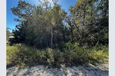 Tbd NE 65th Lane, Bronson, FL 32621 - Photo 1