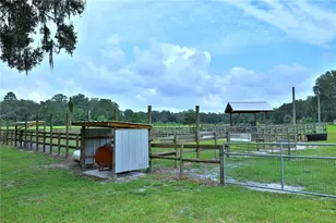8410 NE 155th Ave, Williston, FL 32696 - Photo 59