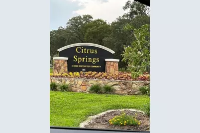 10335 N Abby Drive, Citrus Springs, FL 34434 - Photo 59