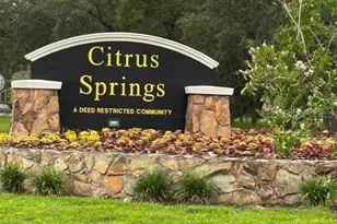 10335 N Abby Dr, Citrus Springs, FL 34434 - Photo 59