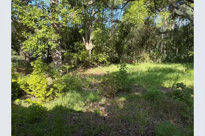 2361 NE 115th Avenue, Silver Springs, FL 34488 - Photo 35