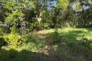 2361 NE 115th Ave, Silver Springs, FL 34488 - Photo 35
