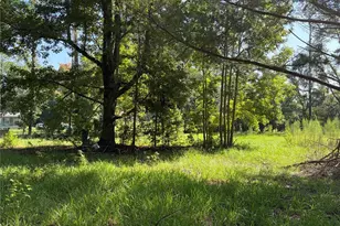 2361 NE 115th Ave, Silver Springs, FL 34488 - Photo 31
