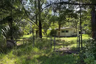 2361 NE 115th Ave, Silver Springs, FL 34488 - Photo 3