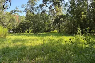 2361 NE 115th Ave, Silver Springs, FL 34488 - Photo 33