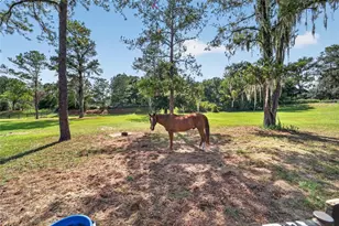 11050 SE 37th Ave Rd, Belleview, FL 34420 - Photo 75