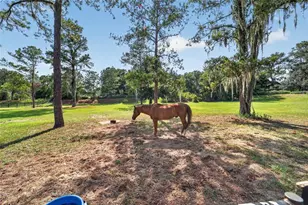 11050 SE 37th Ave Rd, Belleview, FL 34420 - Photo 75