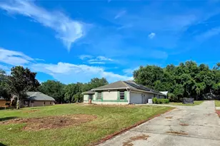 310 Tomato Hill Rd, Leesburg, FL 34748 - Photo 33