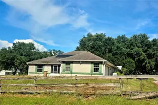 310 Tomato Hill Rd, Leesburg, FL 34748 - Photo 29
