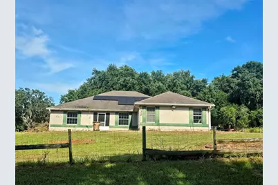 310 Tomato Hill Road, Leesburg, FL 34748 - Photo 1