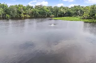 56440 Water Oak Rd, Astor, FL 32102 - Photo 9