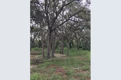 7484 SW 150th Street, Dunnellon, FL 34432 - Photo 5