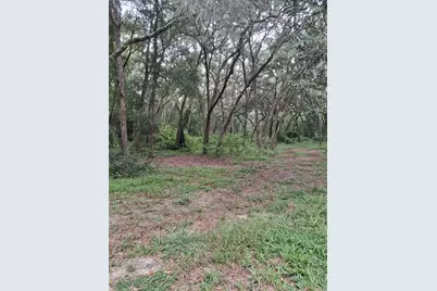7484 SW 150th Street, Dunnellon, FL 34432 - Photo 3