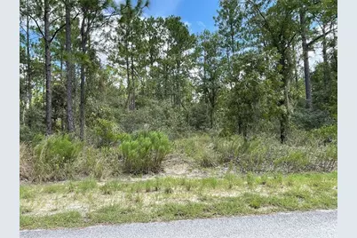 Lot 19 NW Mallard Avenue, Dunnellon, FL 34431 - Photo 5